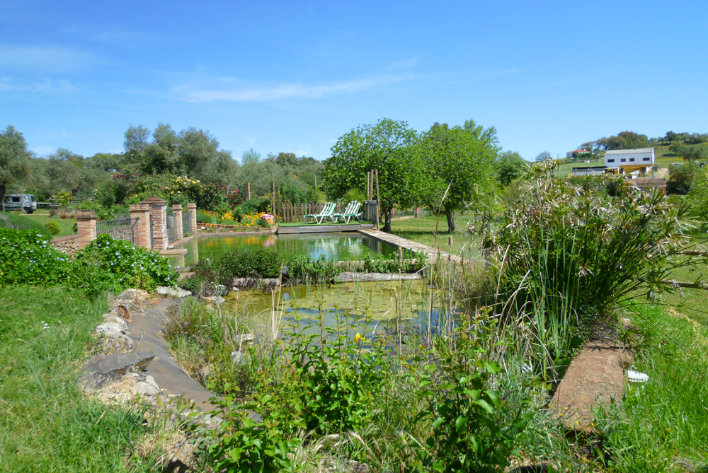 Spanien, Immobilie, Verkauf, Finca, ländliches Anwesen, Reitanlage, Reitplatz Naturliebhaber, Pferdeliebhaber, Alleinlage, nahe Sevilla, Huelva, Andalusien, Pferdeboxen, Pool, Appartment, Pferdekoppeln, Ferien, Gästeappartments, Aracena, Luxus Anwesen, Idyllisches Anwesen, Cortijo, Reitimmoblie, Landhaus, Stall, Südspanien, Olivenhain, Schwimmbad, Casita, Brunnen