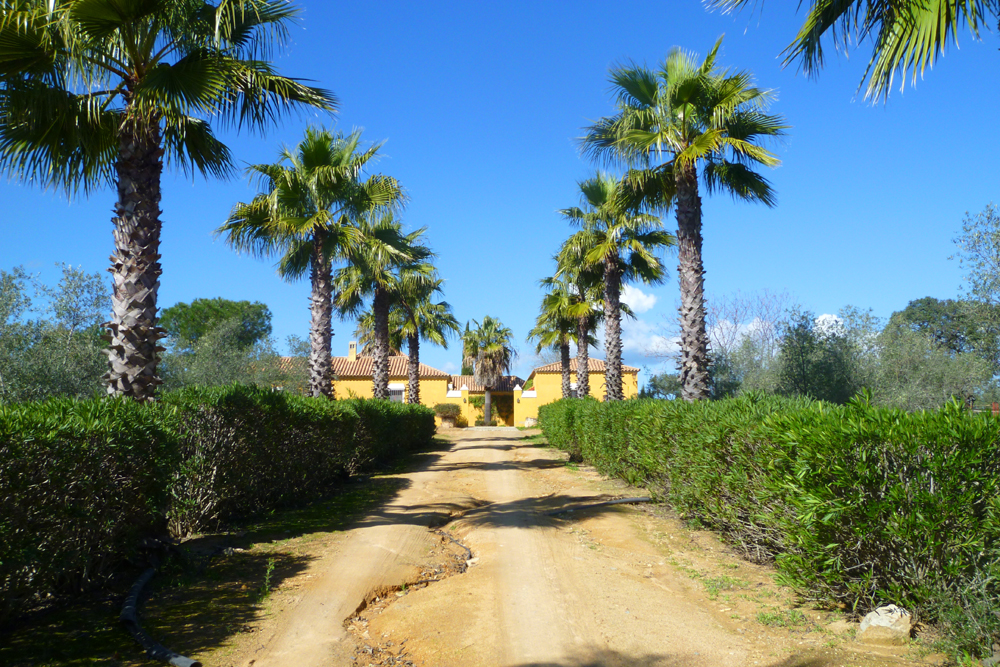 Spanien, Immobilie, Verkauf, Finca, ländliches Anwesen, Reitanlage, Reitplatz Naturliebhaber, Pferdeliebhaber, Alleinlage, Sierra de Sevilla, Andalusien, Pferdeboxen, Pferdekoppeln, Ferien, Gästeappartments, Sevilla, Luxus Anwesen, Olivenhain, Cortijo, Patio